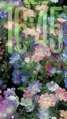 Ultra clear 8k wallpaper. 3D naked eye wallpaper. Flowers wallpaper. Ios26 wallpaper iPhone wallpaper #ios26wallpaper #iphonewallpaper #capcut #capcutforus #capcutpioneer 