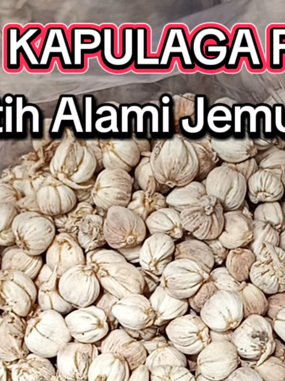 Kapulaga Putih Alami hasil jemuran matahari  dari petani lokal dari gue di Cianjur Selatan #kapulaga #kapol #cardamom #rempah #bumbu 