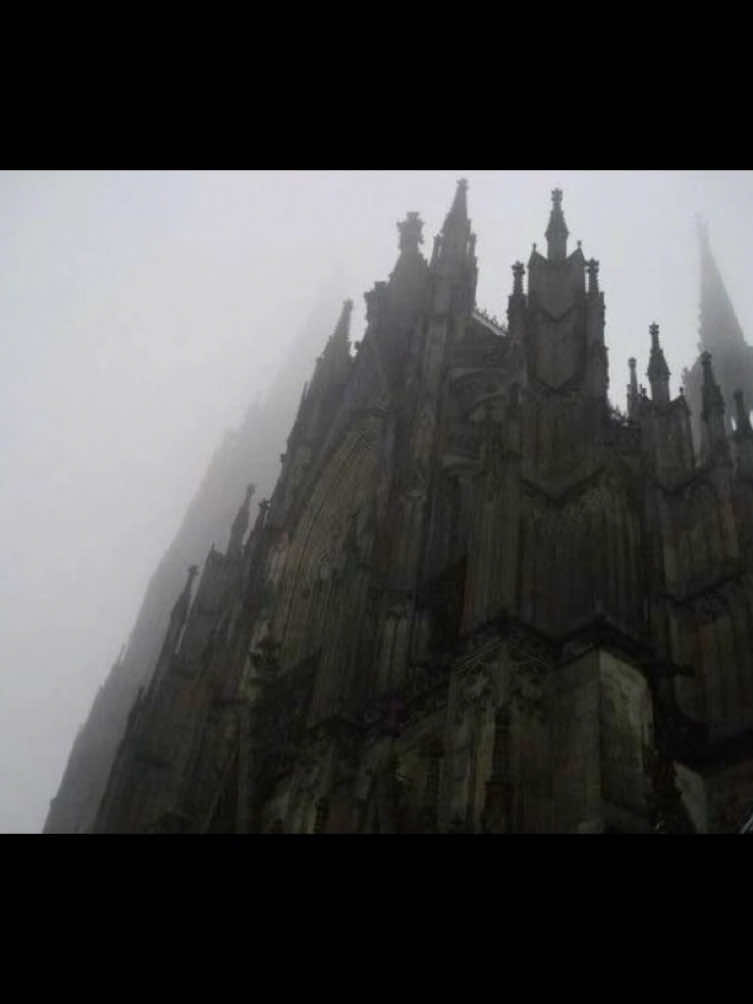 #targetaudience #cathedral #gothicarchitecture 