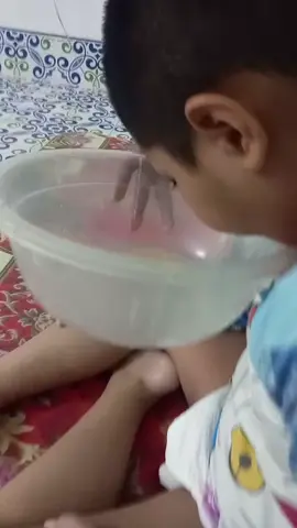 ดีนะปิดเทอม