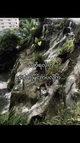 လက်ရှိmood...#fypシ゚ #fyppppppppppppppppppppppp #fypシ゚viral🖤tiktok☆♡ #thinkb4youdo #tiktokmyanmar 
