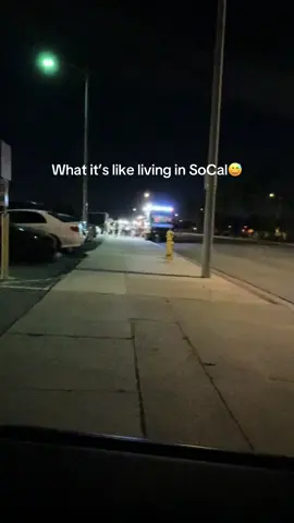 This is what living in SoCal looks like😭and I wouldn’t want it any different #mexican #vietnamese #westminister #santaana #socal 
