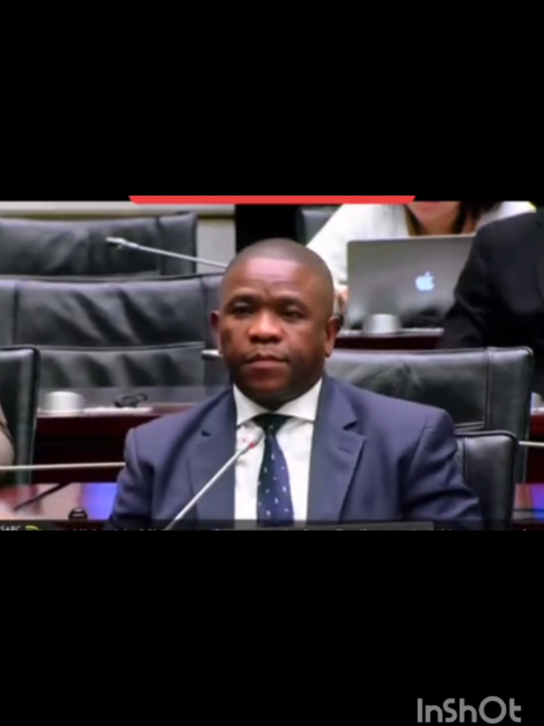 lieutenant general nhlanhla mkhwanazi at Ad Hoc committee #southafrica #nhlanhlamkhwanazi #adhoc #sapolitics #news 