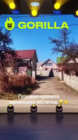 #стопосто #100x100 #горила100 #сотканагорилу