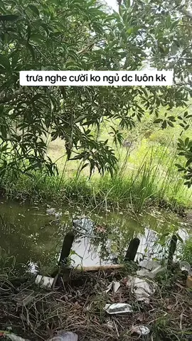nghe hết nhé