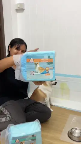 มาเปลี่ยนแผ่นรองฉี่กัน #แผ่นรองฉี่สัตว์เลี้ยง #แผ่นรองฉี่ใช้แล้วทิ้ง #แผ่นรองฉี่หมาแมว #ของใช้สัตว์เลี้ยง 