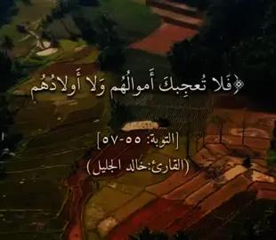 #ارح_سمعك #وقلبك #بالقران 