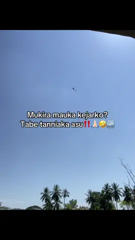 #bugisbone #sulawesiselatan #katakata #trend #fyp 