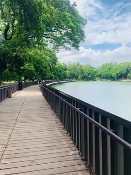 রমনা পার্কে/Romna Park #dhaka #romnapark #রমনা_পার্ক 