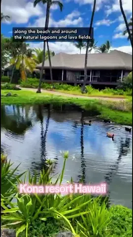 Kona village resort Hawaii are you going????#tiktokgostay #bigislandhawaii #luxurytravel #rosewood #viral 