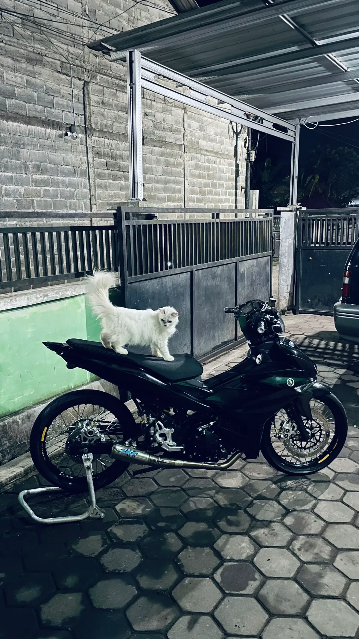 🥷🖤 #mxking150 #jember 