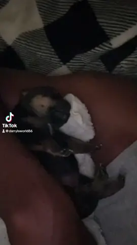 All This Couch And She Want To Lay All in My Arms 😂