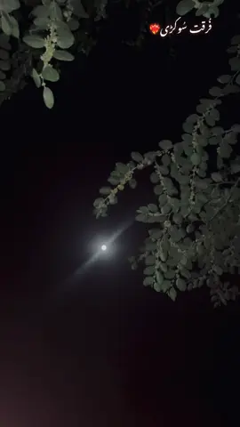 غزل ملدا ہے تاں میں توں میڈی اوقات نی پچھدا گزران نی پچھدا میڈے ڈیہنہ رات نی پچھدا میں آکھاں تاں دریا وی کندھی چھوڑ کے واہسی مسلہ ہے جو او میں توں ہدایات نی پچھدا پچھدا نی کوی لفظ الاواں نہ الاواں کوئ گال کڈھائیں میں توں میڈا وات نی پچھدا ملدا ہے مگر میکوں بھکاری وی سمجھدے کیامنگداں ہاں میں شہر توں خیرات نی پچھدا کھا ویسی میڈے کمرے کوں بےانت کلہیپا کوی شخص اِتھاں میڈے خیالات نی پچھدا  باہر وی تاں تنہائ دا وسواس ہے موجود قیدی کوی حصے دی حوالات نی پچھدا اقبال سوکڑی#foryou 