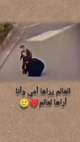 بس امي#creatorsearchinsights 