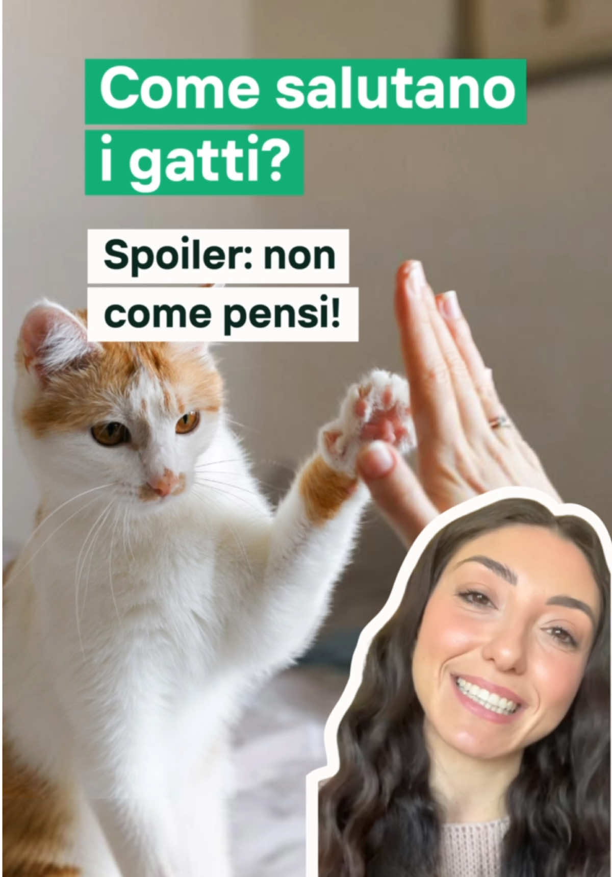 ❓Il tuo gatto ti saluta appena torni a casa? 😊👇🏻Faccelo sapere nei commenti @miriam.santovito_ in questo nuovo video ci spiega i modi particolari con cui ci salutano i gatti 😻 Guarda il video fino alla fine e seguici se adori i gatti @gatto_con_personalita 💚
