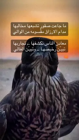 صباح الخير