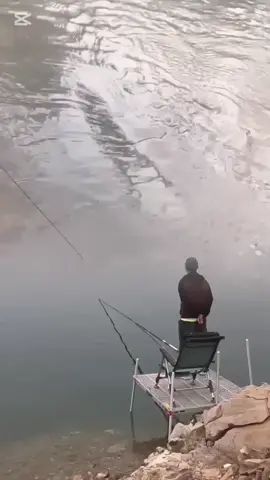 #لأصحاب الخبره ماهو هاذا الكائن البحري؟؟ 🤔🙄اكتبو في التعليقات😱