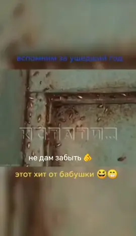 #бабаяга 