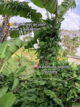 #fyp #pesantren #masukberanda 