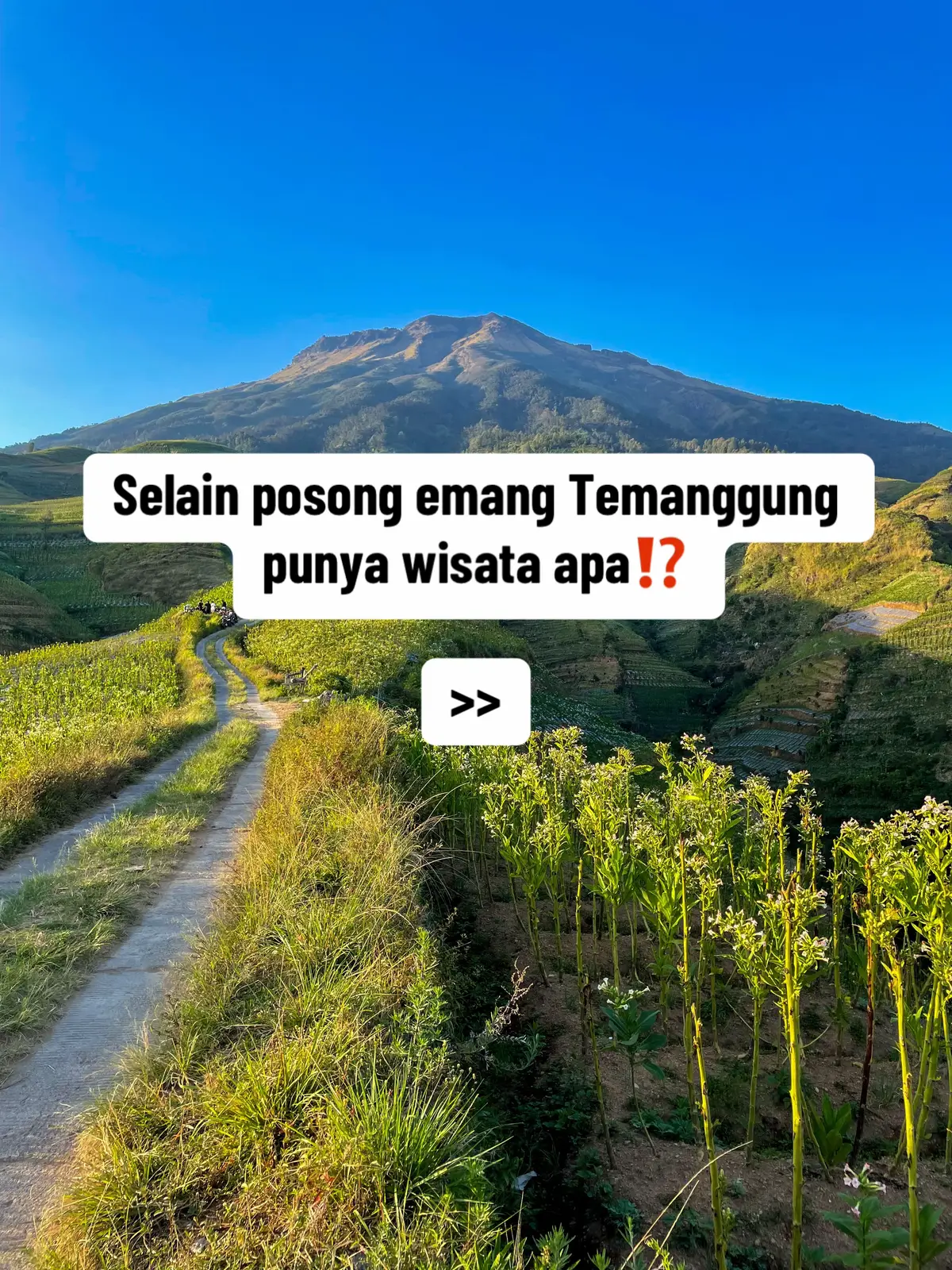 Sini akuu kasih tau🤫 Jasa guide & dokumentasi PL bisa dm yaa🙌🏻 . #temanggung #guide #wisata #jateng #semarang 