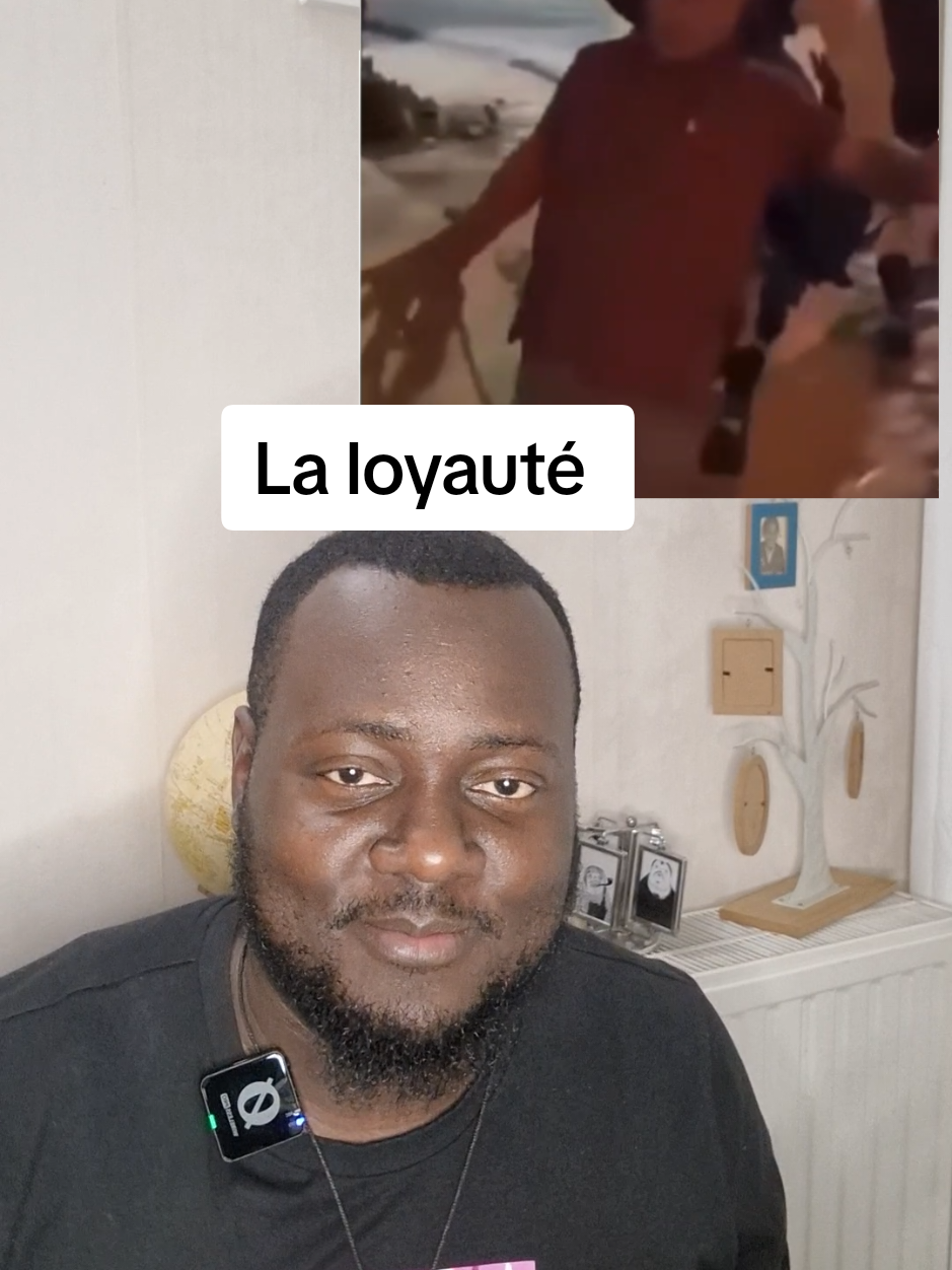 Les animaux sont beaucoup plus loyaux que certains humains. #lecondevie #taureau #loyal #histoirevraie #TikTokfr 