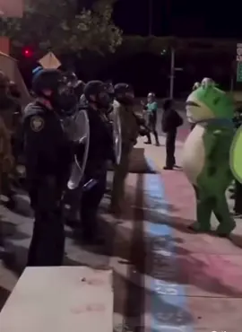 Portland Frog #portlandprotest #portlandfrog #icegestapo 