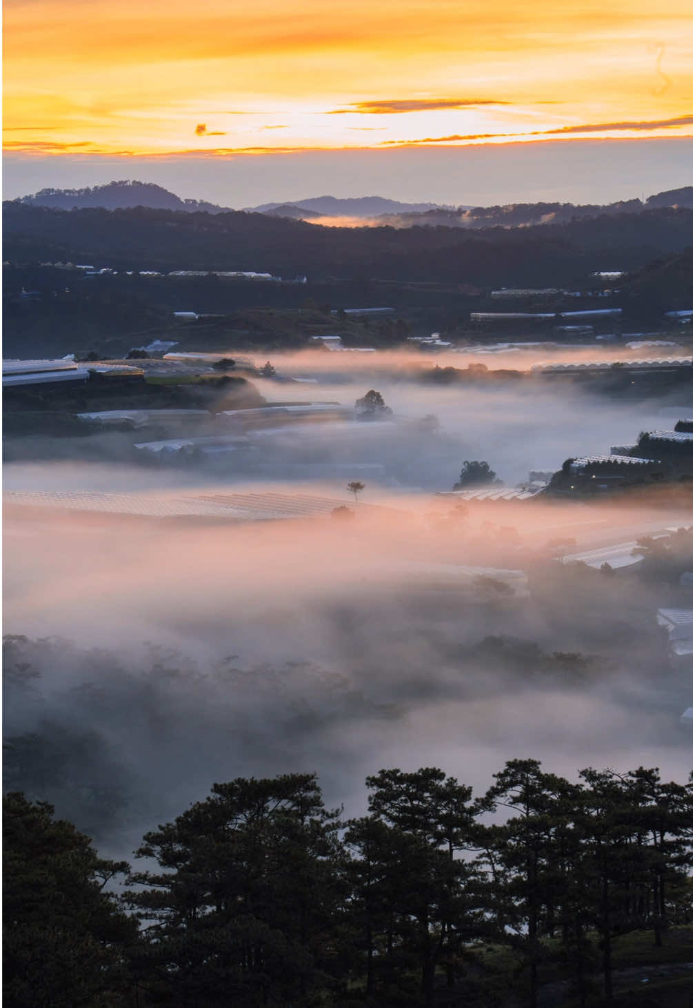 Tui ở Đà Lạt nhưng vẫn thấy nhớ Đà Lạt là sao ta 🤣 #dalat 
