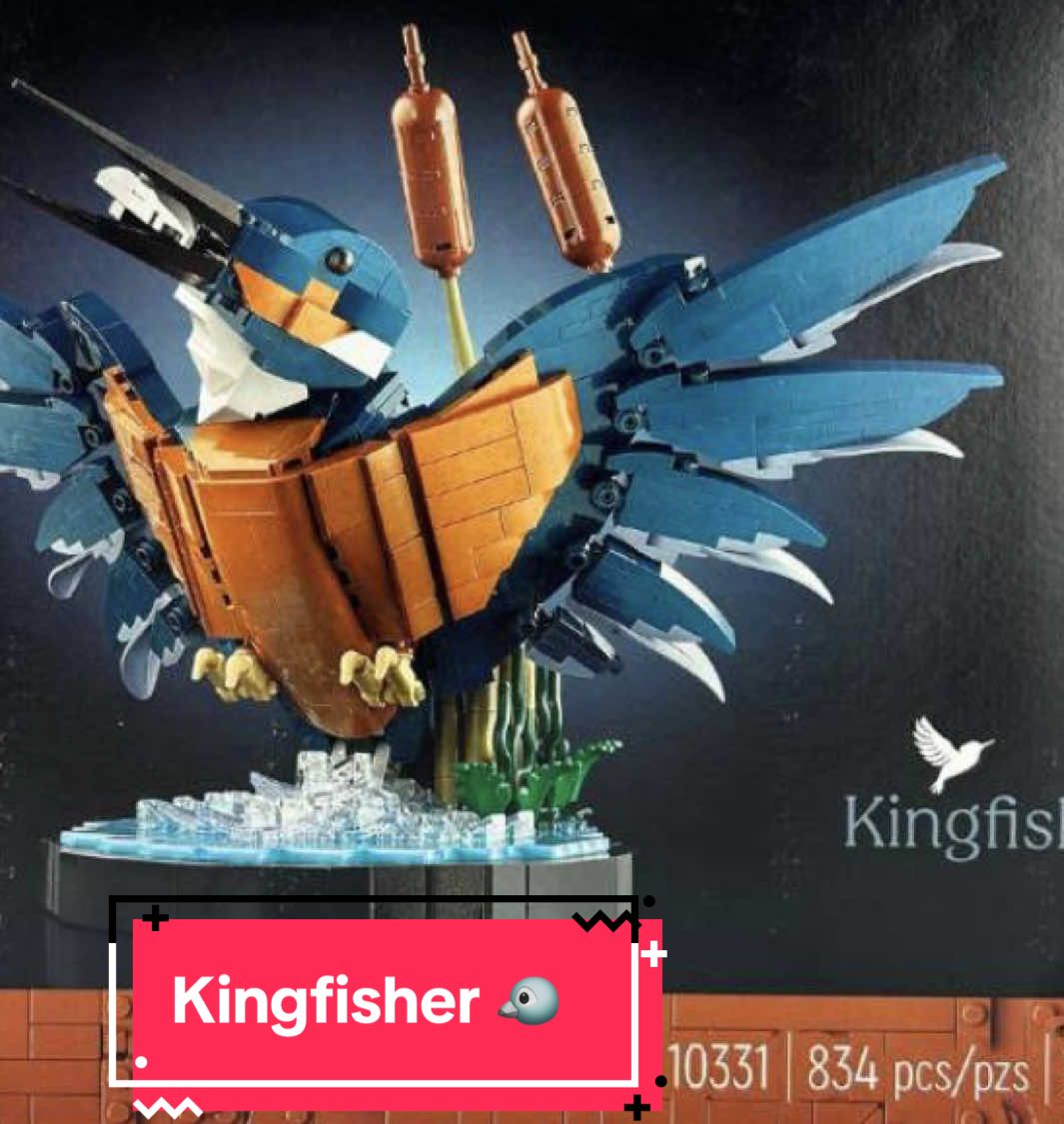Kingfisher🐦 set by @LEGO #obsessed #lego #fyp #fypシ #10331 