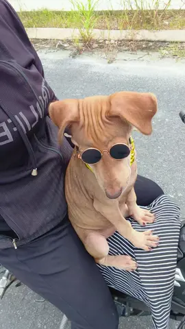 Ráng bán hàng kiếm tiền mua SH cho cô ba ngồi cho êm đ..ít 🤭🤭