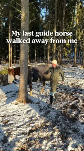 My horses don’t take their job seriously🥲😆 #horselife #quarterhorse #horselover #legallyblind #horseguide 