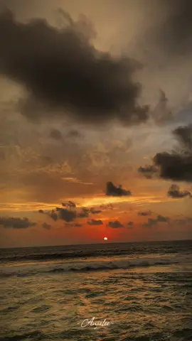 එ සද නුඹමයි අඹරේ මගේ... 🌬💕  #viral #trending #foryou #viralsong #Love 