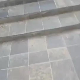 Mazda demoi  drivers 🤣😂😅