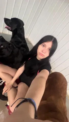 a dog won’t break your heart 