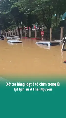 Thái Nguyên đang gánh chịu hậu quả nặng nề do trận lũ lụt lịch sử sau bão số 11 gây ra. Hầu hết các vùng trũng thấp ngập sâu từ 2-3 mét, ngập hầu hết tầng 1 các ngôi nhà. Lũ tràn vào cả những nơi chưa bao giờ ngập trước đây và nhấn chìm hàng nghìn ô tô. #TikTokAwardsVN #vivumuasam #xuhuongtiktok #tiktokviral #popsww 