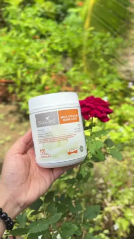 Canxi sữa Bioisland Milk Calcium Bone Care. #dii #diihouse 