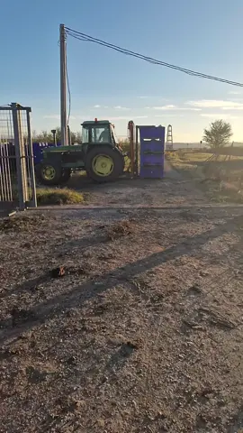 Zio pierino vogliamo spiegare a questi malandrini come funziona, quando non ci stanno i due gatti, i topi ballano??? 🤷‍♂️😁😁😁😁😁😁😁😁😁 Buongiorno ♥️❤❤❤