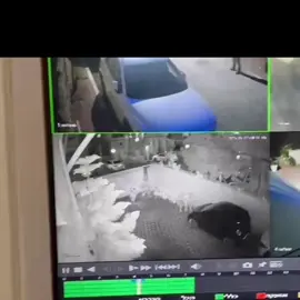 #משפחה_עבוד_אדריס_טמרה🩸🫡