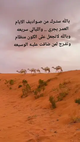 #اكسبلورexplore #شعراء_وذواقين_الشعر_الشعبي🎸 