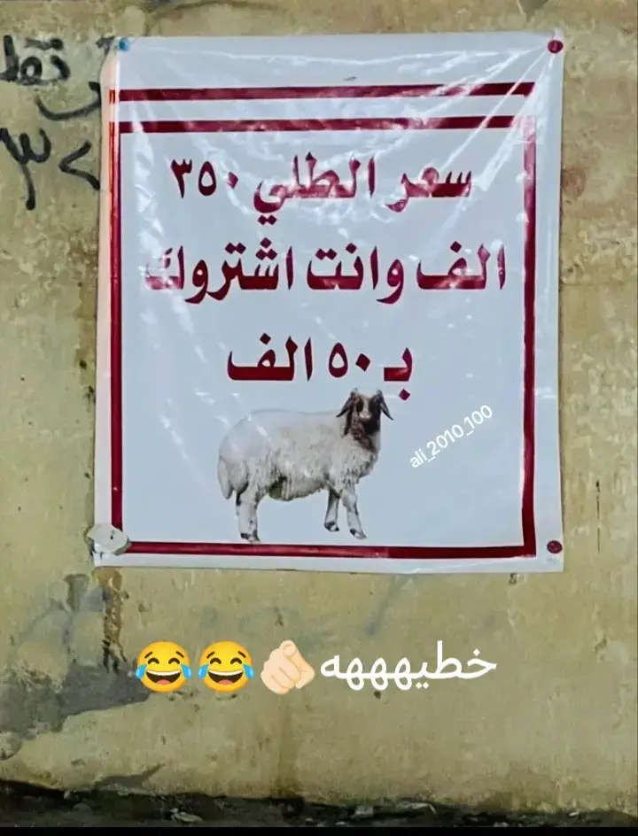 #مقاطعون_الانتخابات #مقاومة #يوم_التأسيس #يمحمد_الحرمونه_من_زيارتك #حسين 