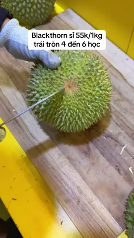 Blackthorn sỉ 55k/1kg đi đơn trên 20kg #blackthorn @(Trái Cây Vùng Miền) @Thành trung @Sầu Riêng Miền Tây 