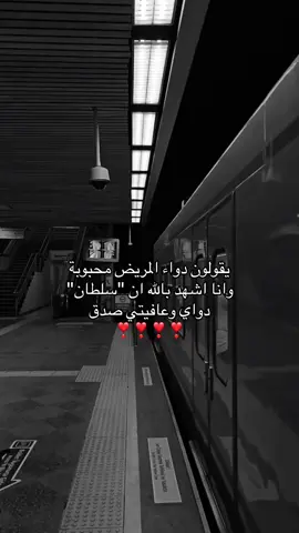#حُب #محبوبي #اكسبلورexplore #سلطان #سلطاني 