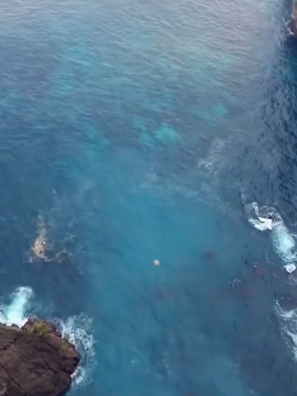 kamu pilih mana? @solusicare_ atau EminSol nya?? #perawatanmobil #pengkilapmobil #solusiautocare #viral #fyp 