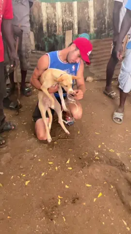 Rescuing dogs #dogsoftiktok #PetsOfTikTok #fyp #foryoupage #foryou dog rescue caught on camera dog savior  