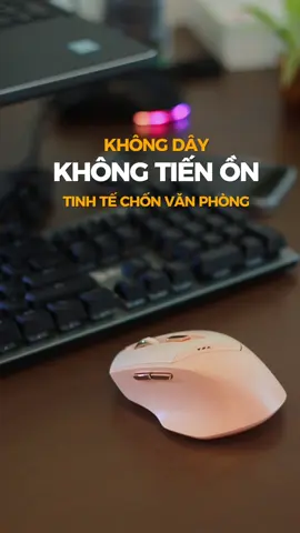 Silent #tomobox #tomobox77 #TikTokAwardsVN #chuộtkhongday