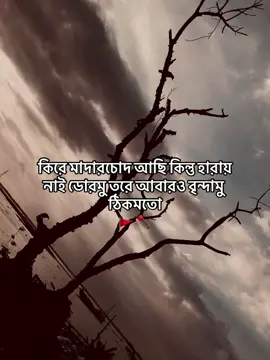 #1millionaudition #foryou #tiktok #onthisday #tiktokviral #official #100kviews #1_139 #bellingham 