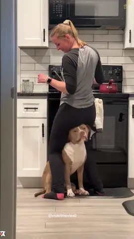 Dance to the beat 🐕🐾#dog #dance #happy #music #cute 