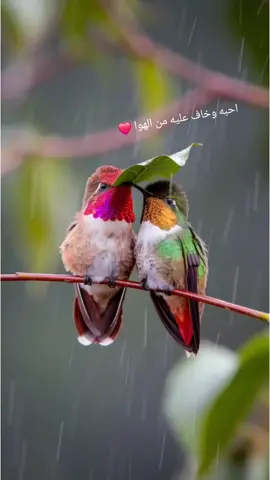 #منشن #عباراتكم_الفخمه📿📌 #مجرد________ذووووووق🎶🎵💞 #جبراتت📮 #اعادة_النشر🔃 