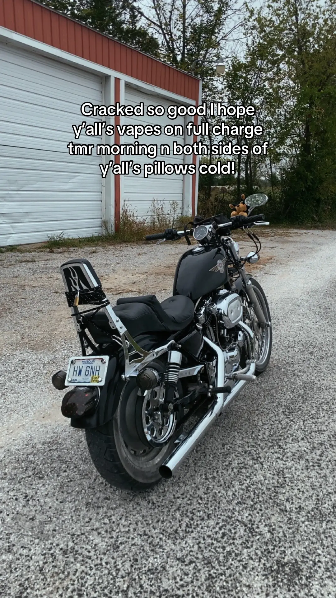 #sportster1200 #1998 #vanceandhines #fyp #bikesoftiktok 