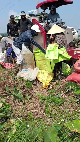 Ai vào đây làm trọng tài cho bà cái nào ???