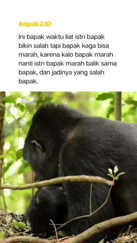 Aku gak akan kegocek. #bapakbapak #memebapakbapak #jokesbapakbapak 